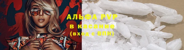 прущая мука Вязьма