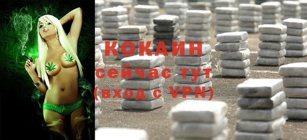 мяу мяу мука Вязники
