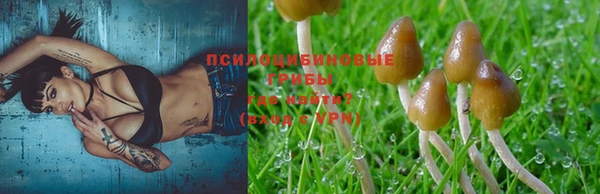 кокаин колумбия Вяземский