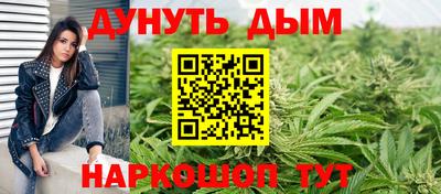 индика Кимры