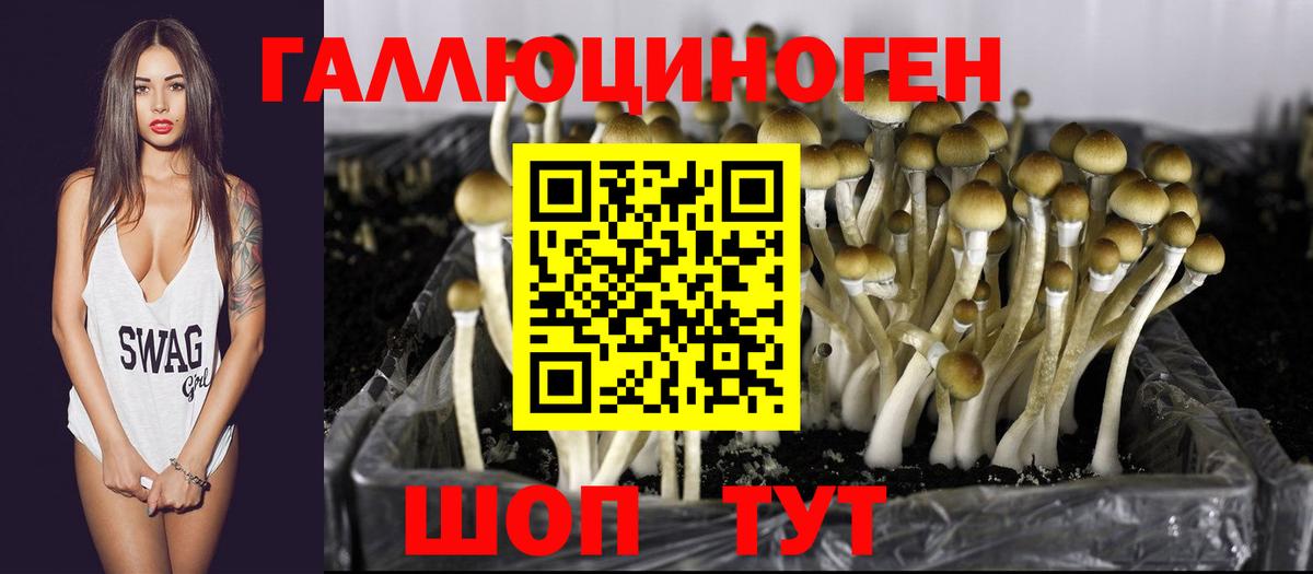 Псилоцибиновые грибы мицелий Сухой Лог