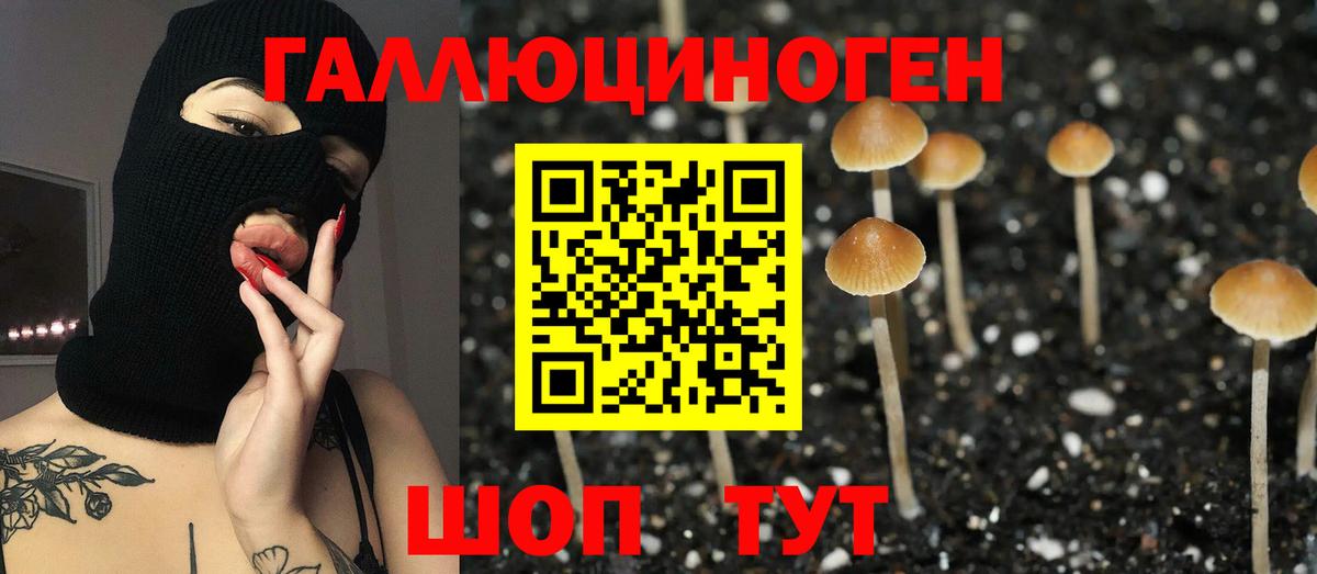 Псилоцибиновые грибы MAGIC MUSHROOMS  купить наркоту  Сухой Лог  Вход с VPN 